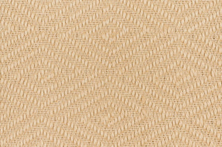 T01011004_CL