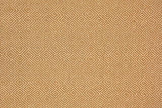 T01011007_ALT2