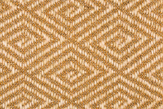 T01011007_CL