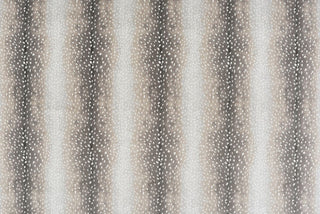 T01011316_ALT2