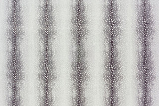 T01011319_ALT2