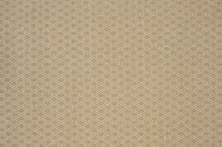 T01011331_ALT2