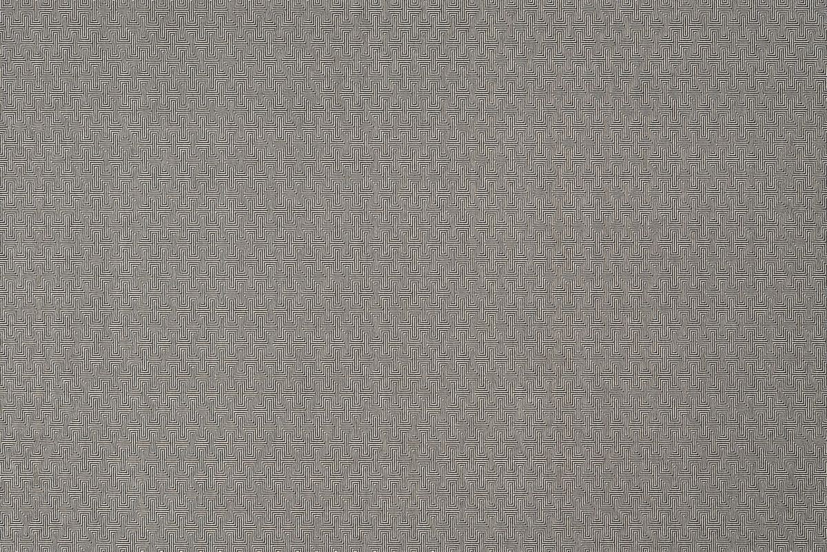 T01011762_ALT2