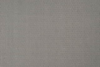 T01011762_ALT2