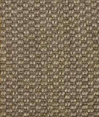 T01011812