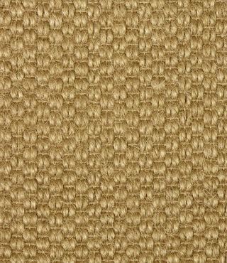 T01011813