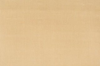 T01011814_ALT2