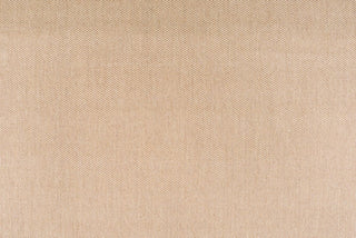 T01011818_ALT2