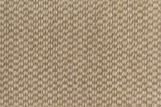 T01011821_CL