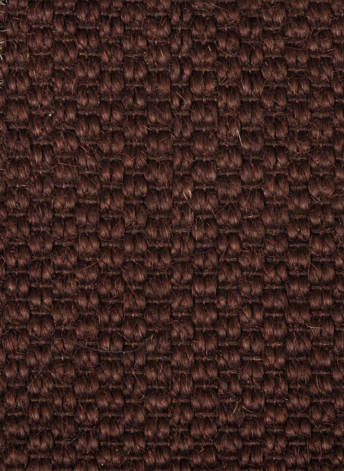 T01011832