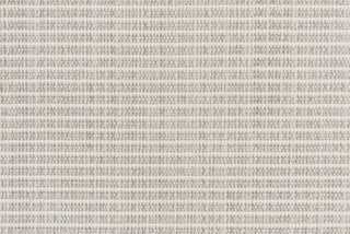 T01012276_CL