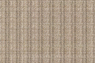 T01012602_CL