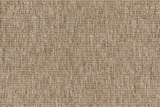 T01012689_CL
