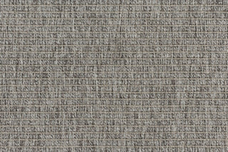 T01012693_CL