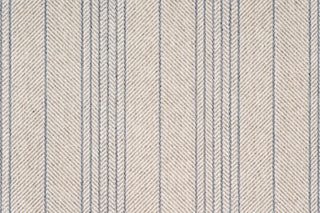 T01013242_CL