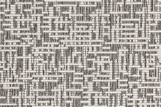 T01013444_CL