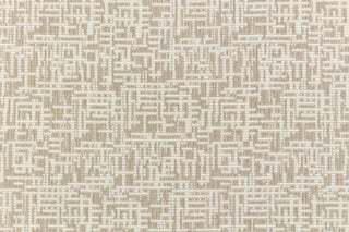 T01013445_CL