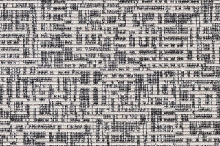 T01013446_CL
