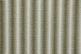 T01013537_CL