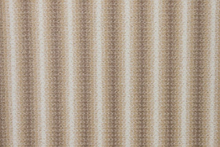 T01013539_CL
