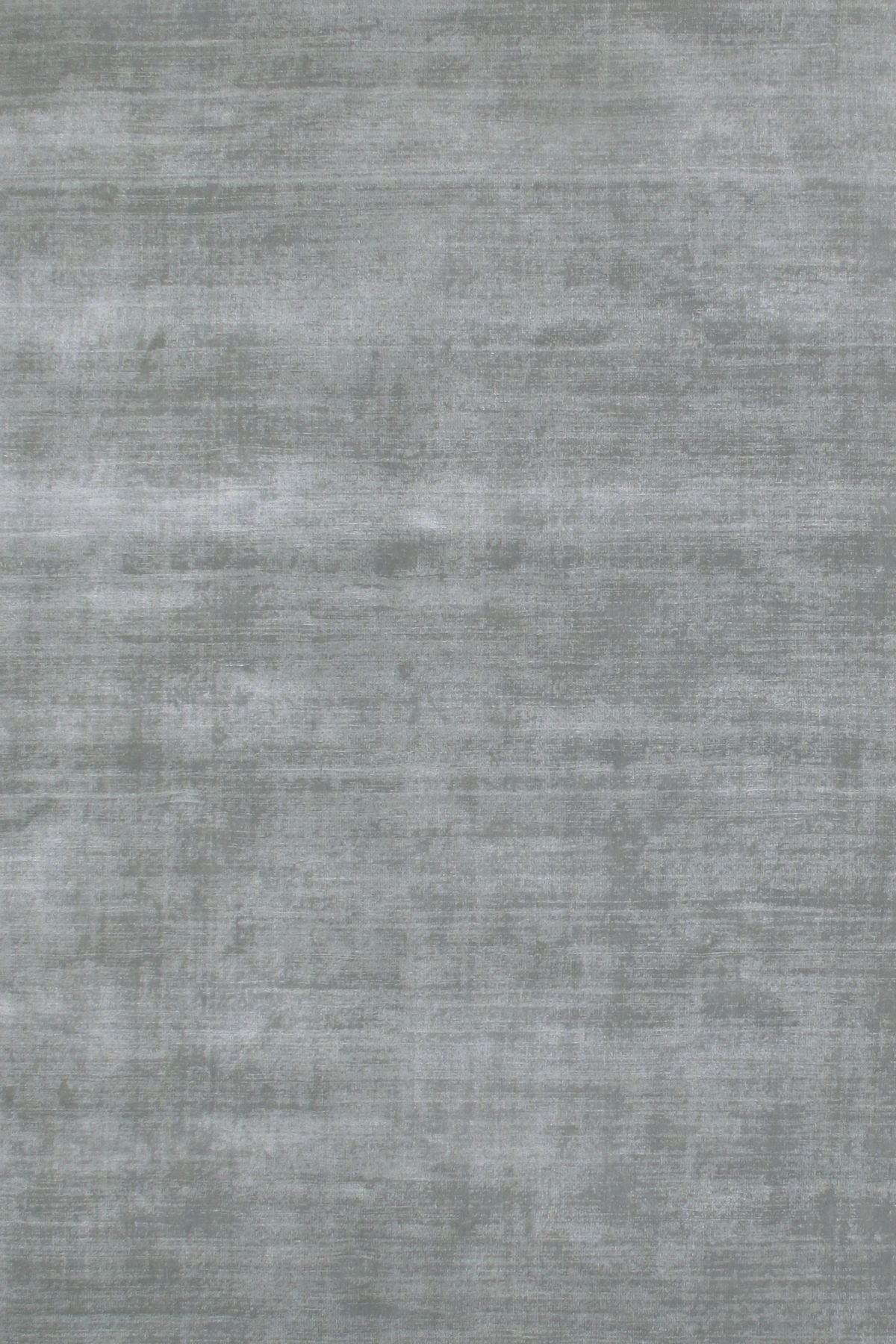 T01013828_ALT2