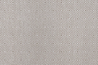 T01013844_CL