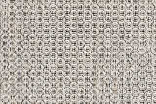 T01013953_CL