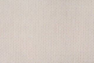 T01013955_CL