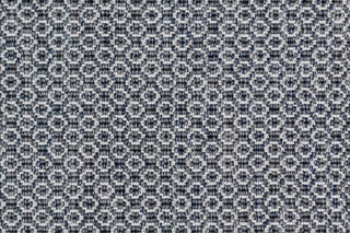 T01013956_CL