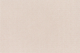 T01014204_CL