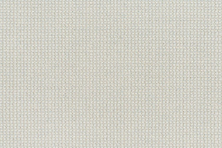 T01014205_CL