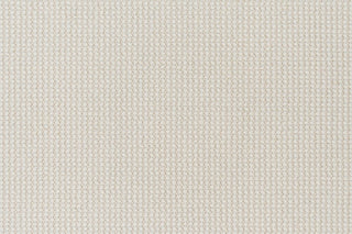 T01014206_CL
