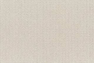 T01014208_CL