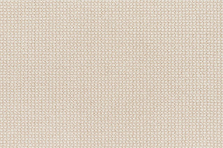 T01014209_CL