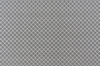 T01015245_ALT2