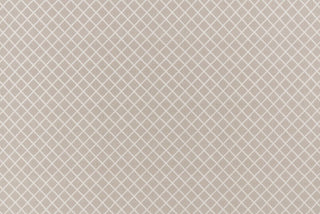 T01015246_ALT2