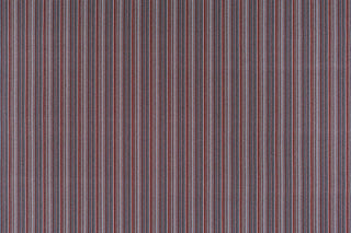 T01015253_ALT2