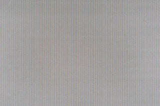 T01015255_ALT2
