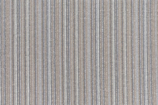 T01015255_CL
