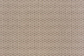 T01015392_ALT2