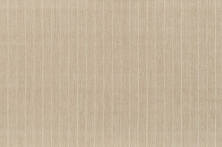 T01015837_ALT2