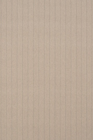 T01015857_ALT2