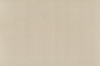 T01016006_ALT2