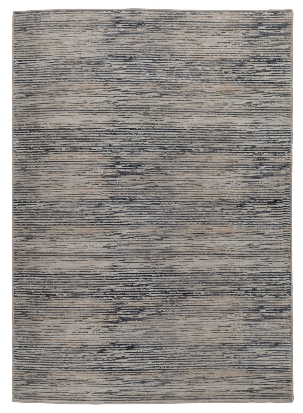 T01016205