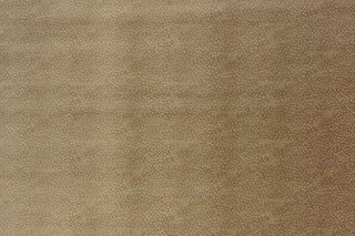 T01016432_ALT2