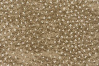 T01016432_CL
