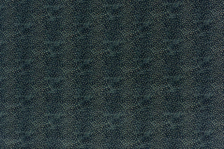T01016434_ALT2
