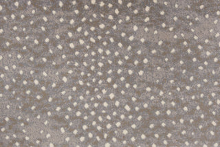 T01016435_CL