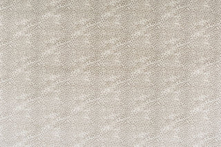 T01016436_ALT2