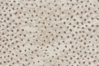 T01016436_CL